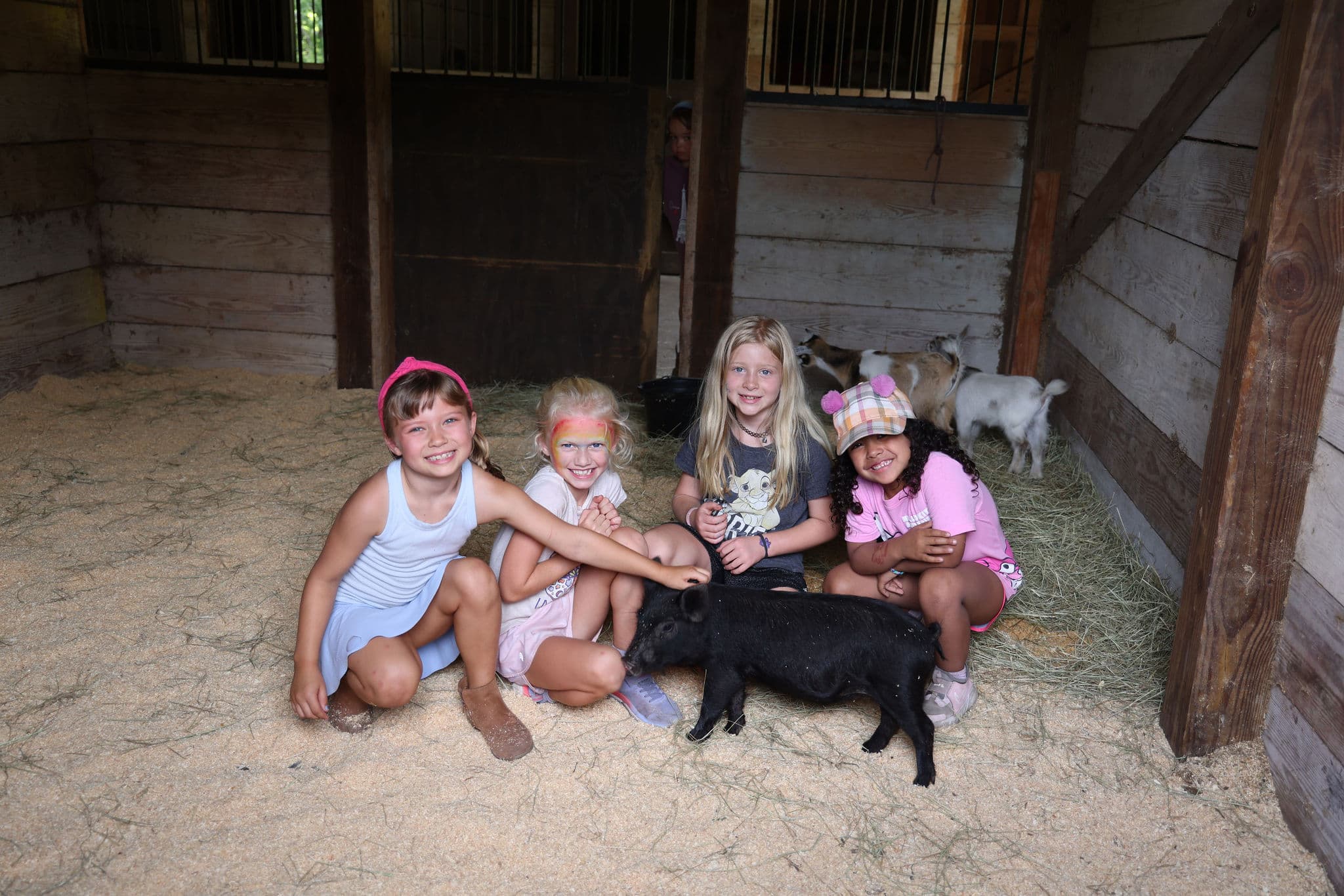 Red Barn Farm Camp — photo 2