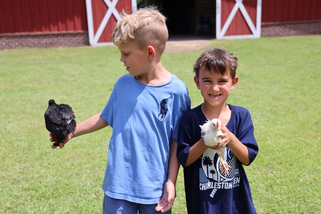 Red Barn Farm Camp — photo 4