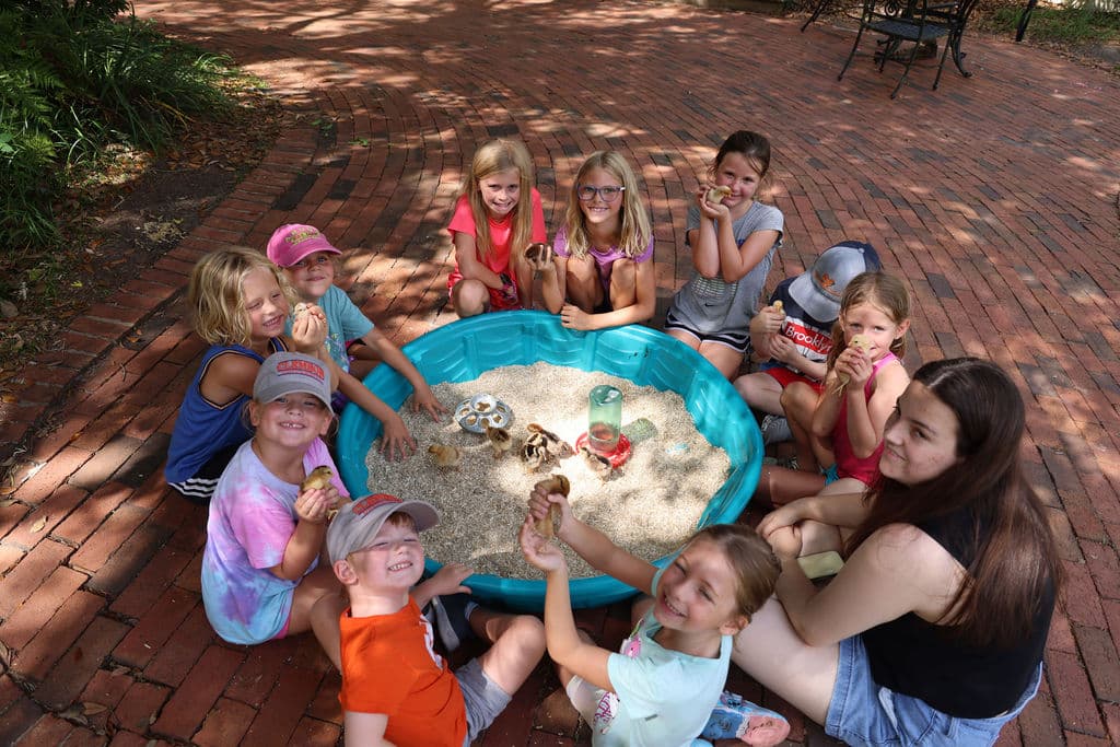 Red Barn Farm Camp — photo 8